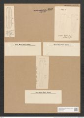 Nitzschia pellucida Grun. (de-Toni-Nr.: Genus 47, Species 2048) Zeichnungen Sammlung Grunow Nr. 4050 (NHMW-BOT-W0371879)